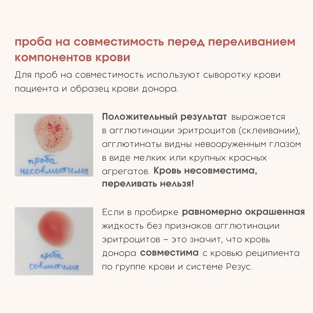 Неделя популяризации донорства крови (в честь Национального Дня донора в  России 20 апреля) | 17.04.2023 | Реутов - БезФормата